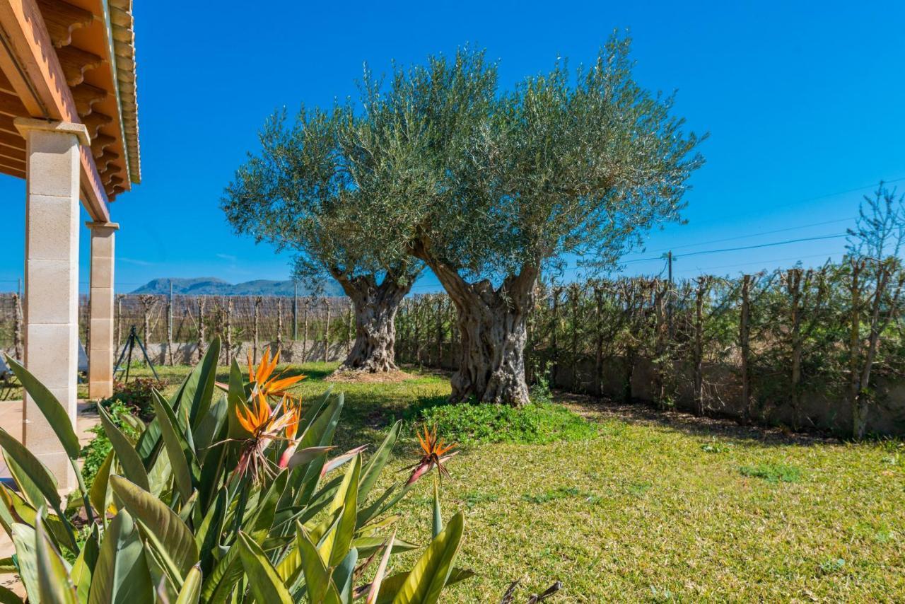 Yourhouse Son Gallina Quiet, Private In The North Of Mallorca Sa Pobla